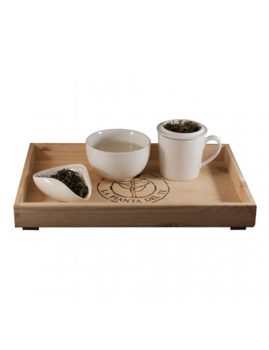 Tè Green Monkey tea taster - La Pianta del Tè vendita online